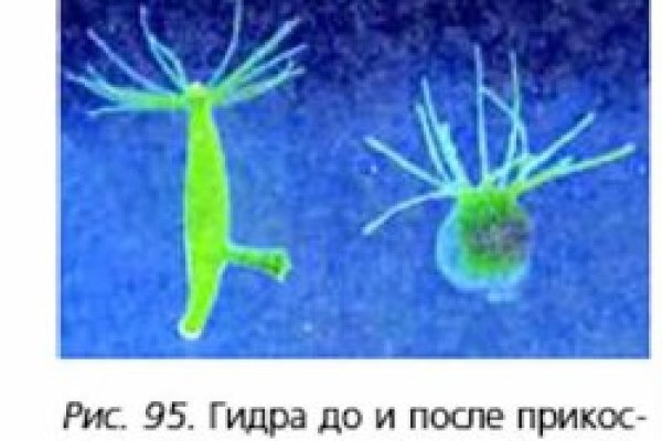 Kra34.cc Вход на сайт главная страница